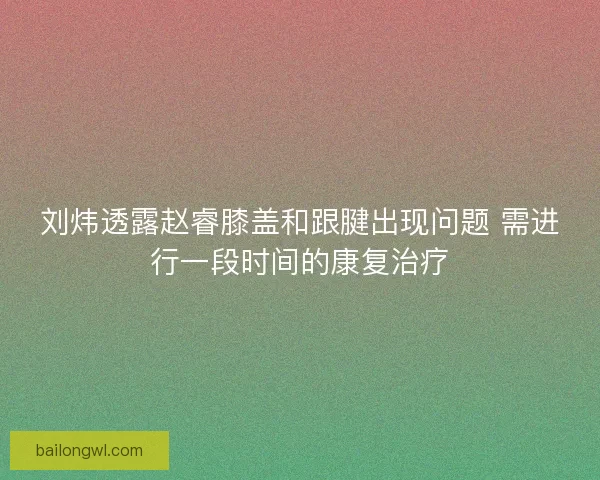 刘炜透露赵睿膝盖和跟腱出现问题 需进行一段时间的康复治疗